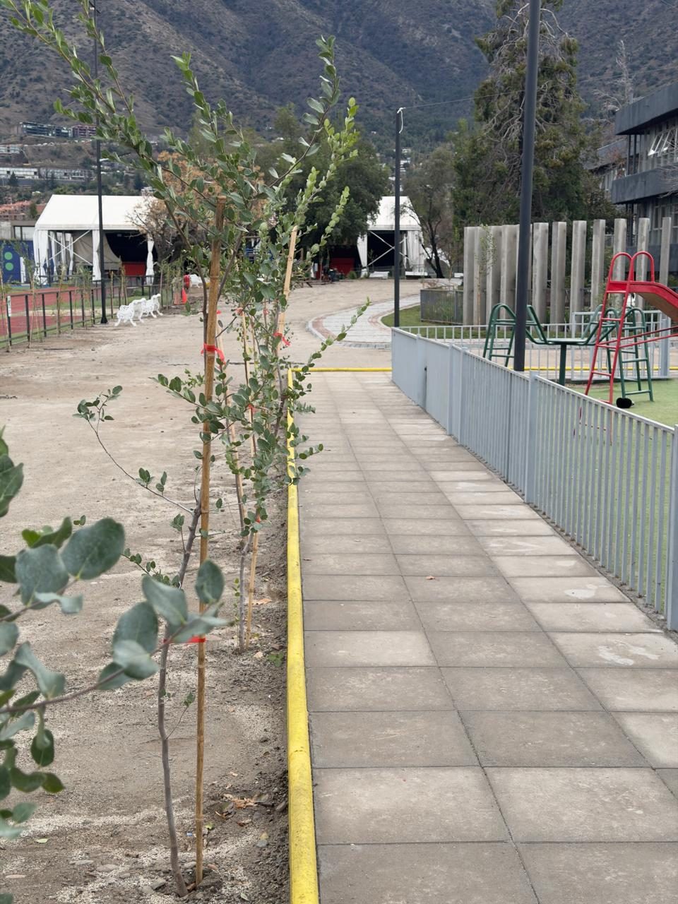 Nuevos árboles en el patio de juegos